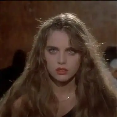 6686体育app特邀作者Nolan