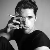 6686体育app金牌作者风停了