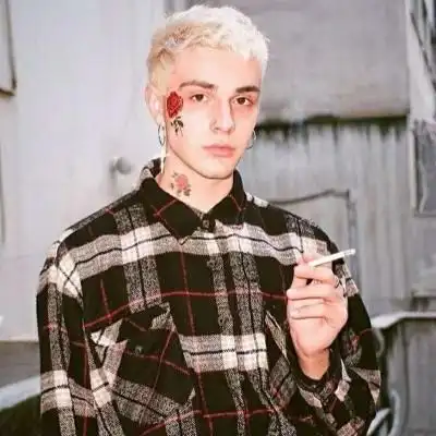 6686体育app中级作者Vicky