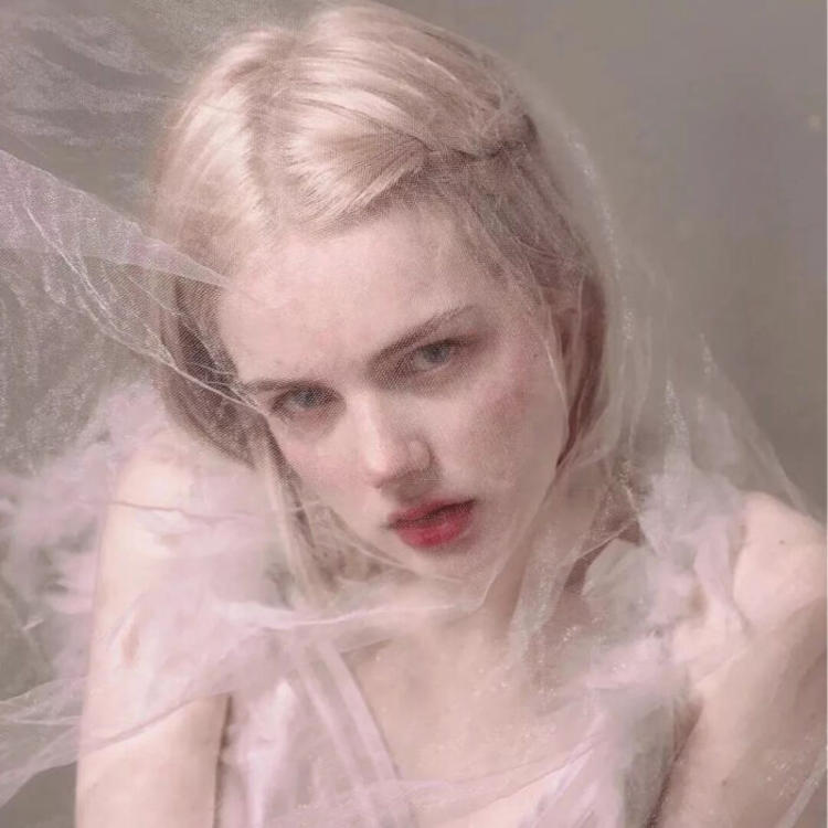 6686体育app高级作者Cordelia