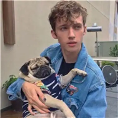 6686体育app银牌作者Beryl