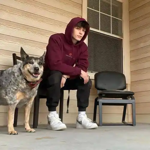 6686体育app钻石作者Gale