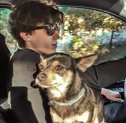 6686体育app初级作者夢在遠方