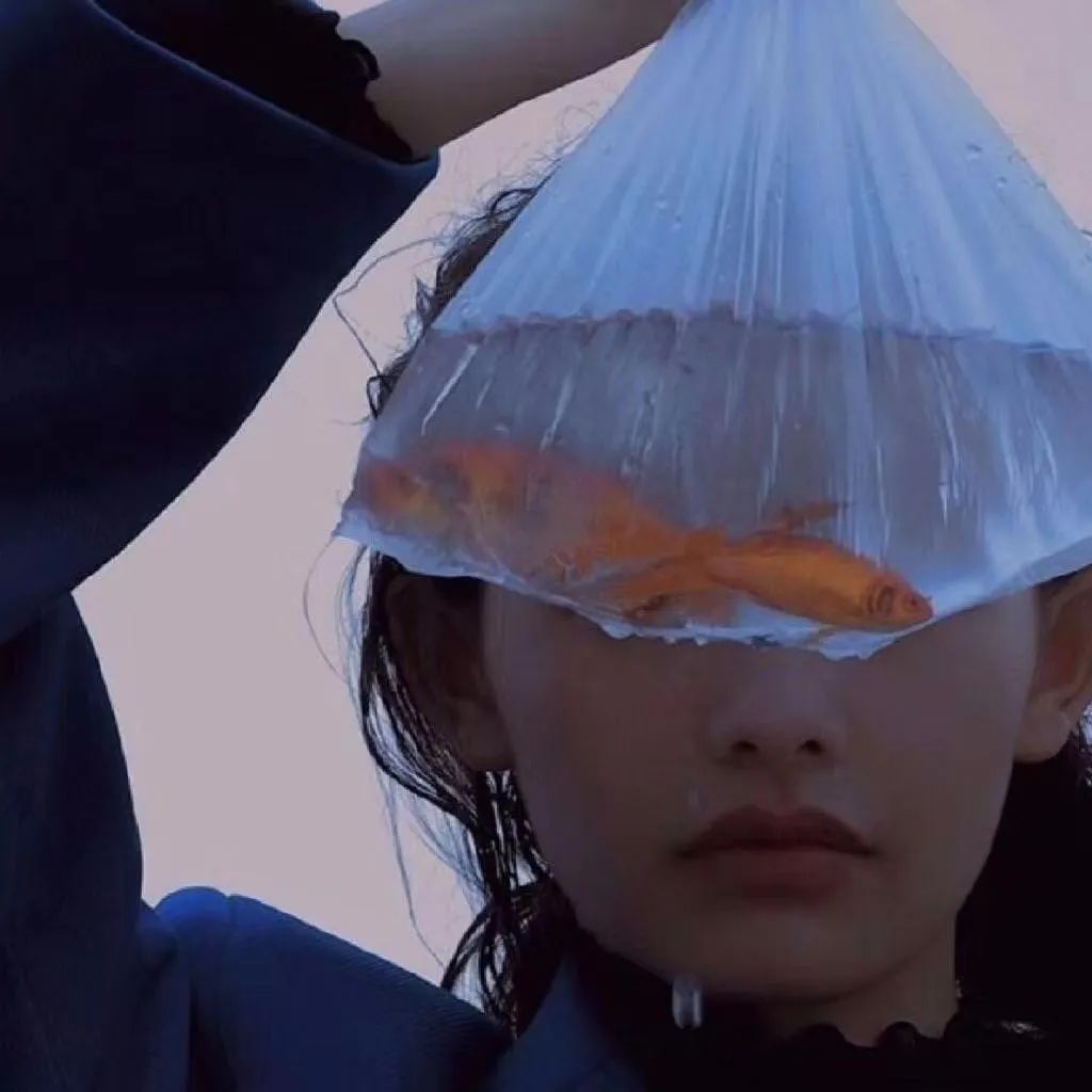 6686体育app特邀作者Charlotte